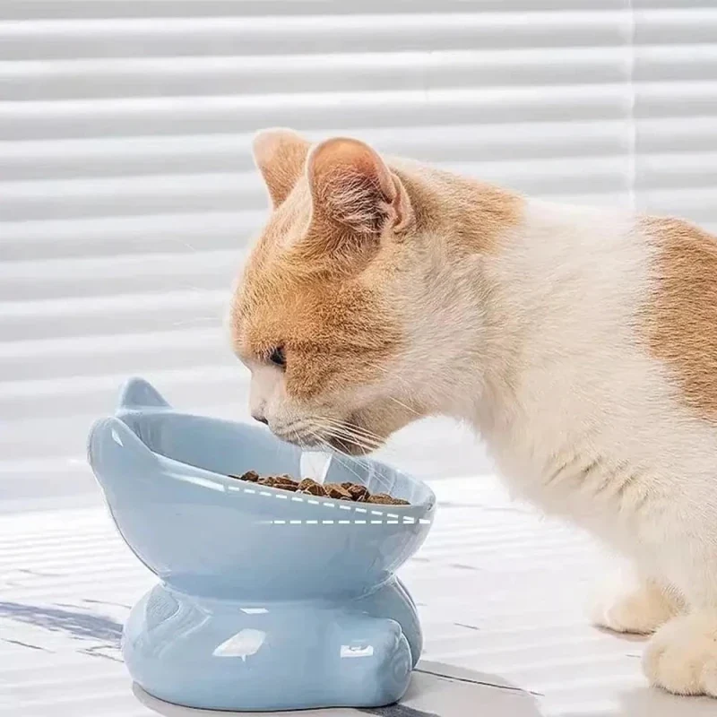 Bol en céramique pour chat - Hygiène naturelle | CeramBowl
