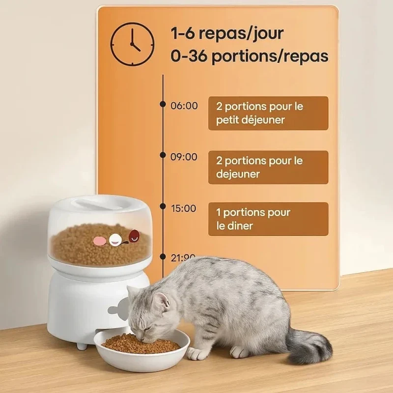 Mangeoire automatique chat – Repas programmés | AutoFeed
