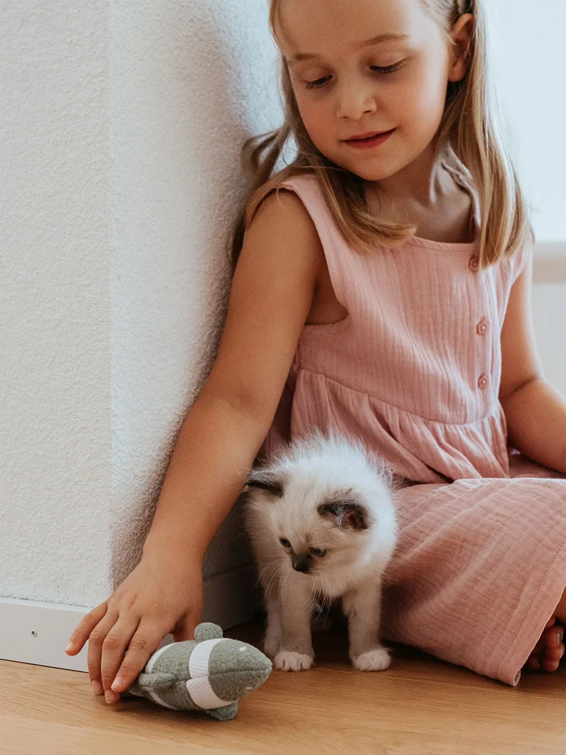 Jouet pour chat - Poisson à rayures 🐟 - Hunter stylecats