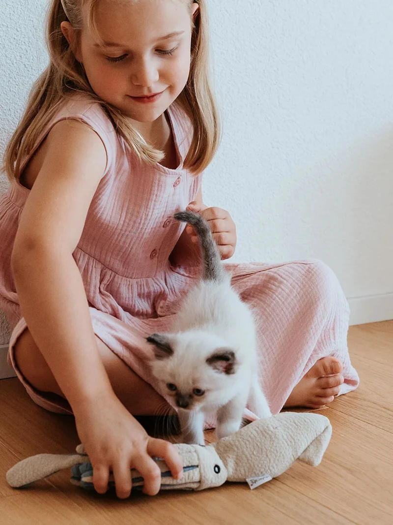 Jouet pour chat - Pieuvre 🐙 - Hunter stylecats