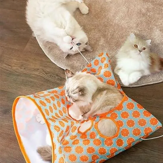 tunnel du chat sac