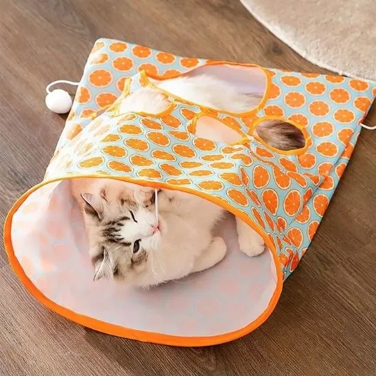 tunnel du chat sac