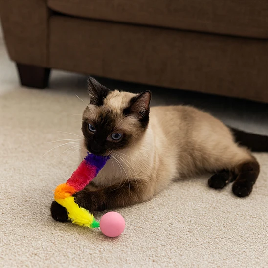 jouet chat interactif | Balle folle Chenille