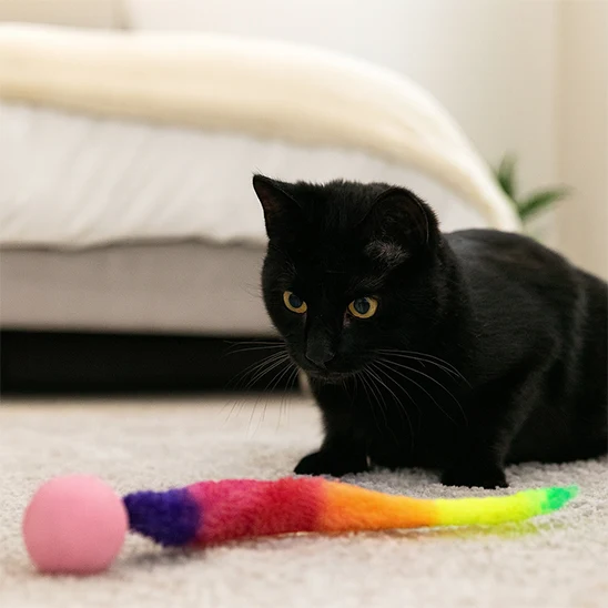 jouet chat interactif | Balle folle Chenille