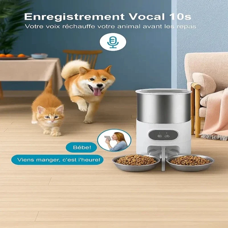 Distributeur croquettes 2 chats – Portions équilibrées | DuoFeed