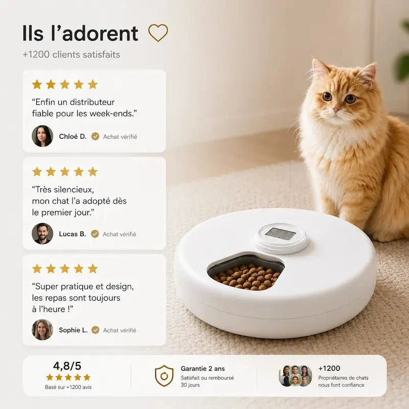 Distributeur automatique croquette 6 repas | Petiplan