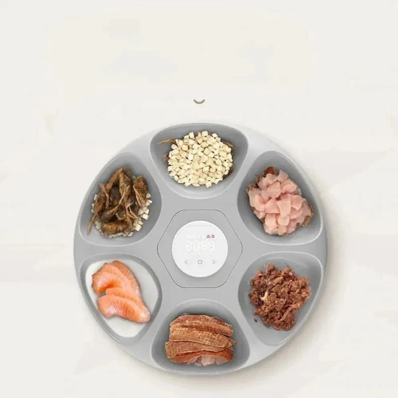Distributeur automatique croquette 6 repas | Petiplan