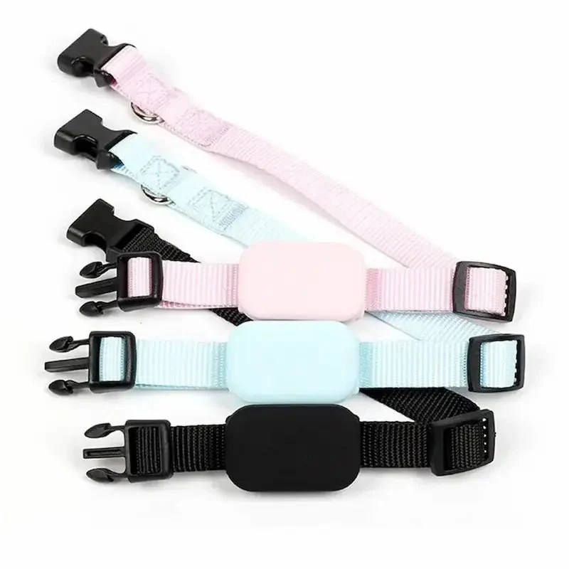 Collier de localisation pour chat - Zéro fugue | Trakomi