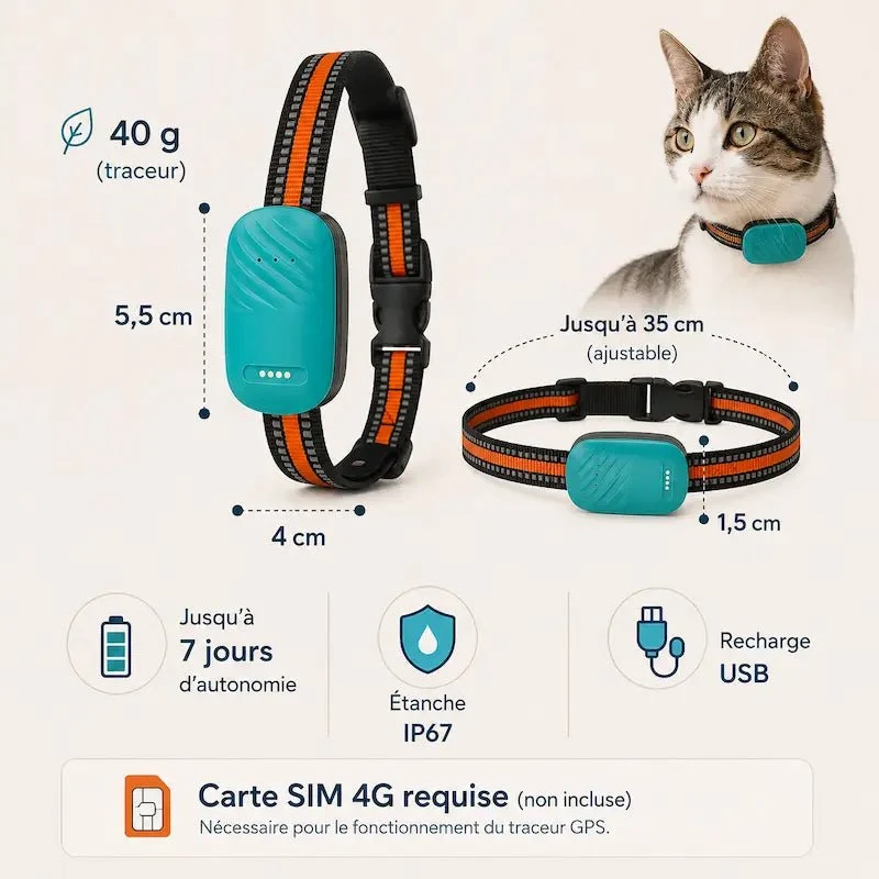 Collier traceur GPS pour chat - Zéro fugue | Pawlineo