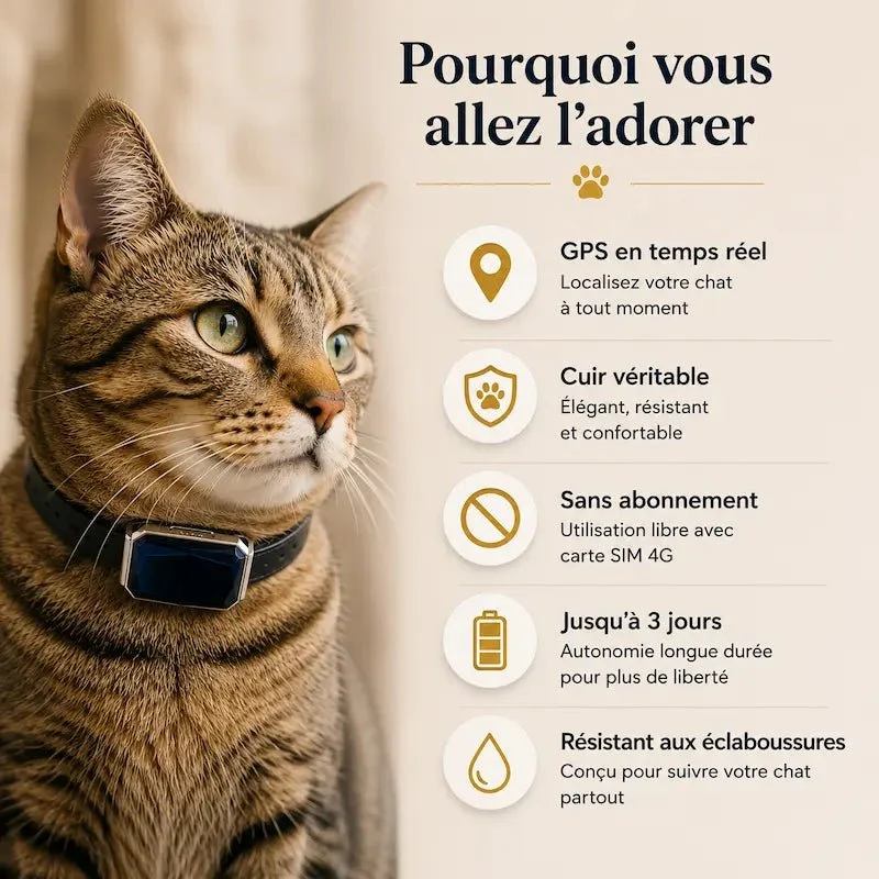 Collier GPS chat en cuir - Zéro fugue | Minouchic