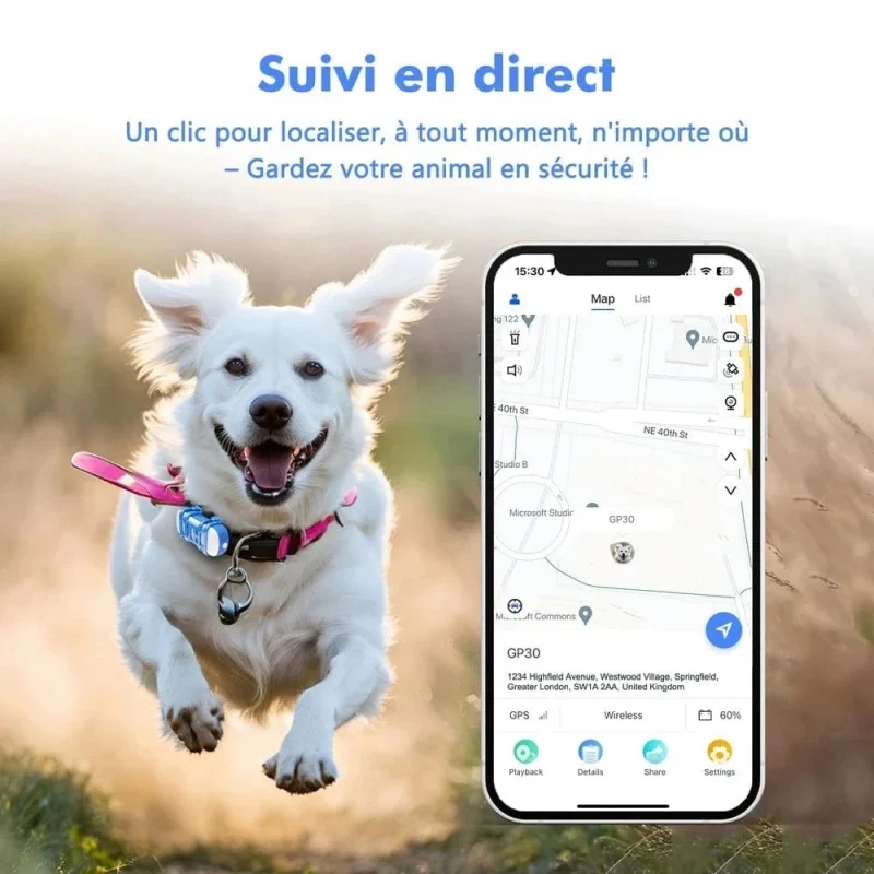 Collier GPS chat avec abonnement - Suivi live | PawLink