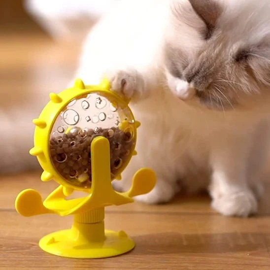 Jeu interactif chat | JOUCROC