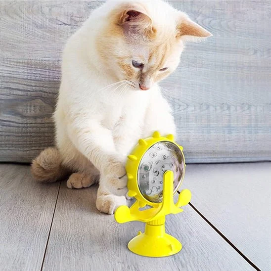 Jeu interactif chat | JOUCROC