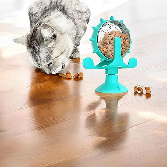 Jeu interactif chat | JOUCROC