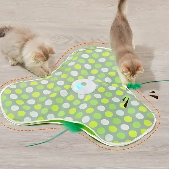 Jeu pour chat | Cache'Cache Souris