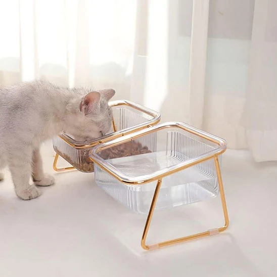 Gamelle pour chat | Surélevée & Chic