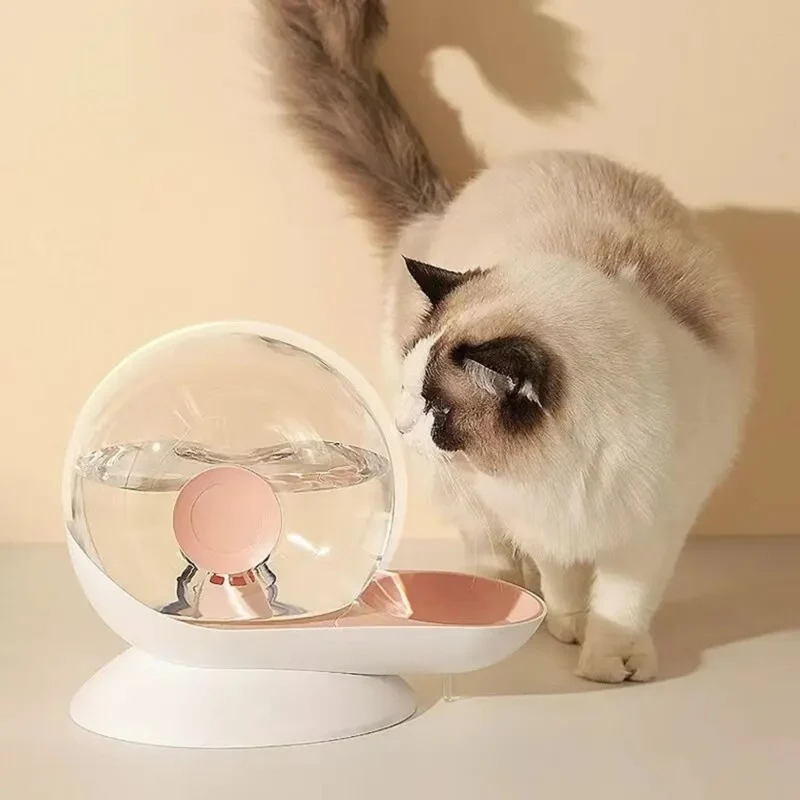 gamelle chat eau escargot