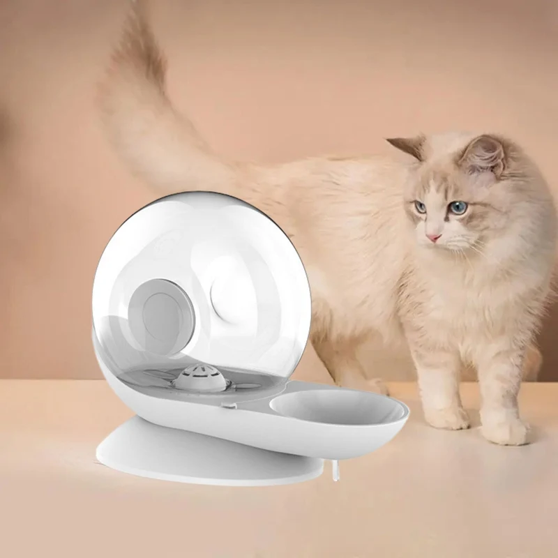 fontaine à eau chat sans électricité escargot