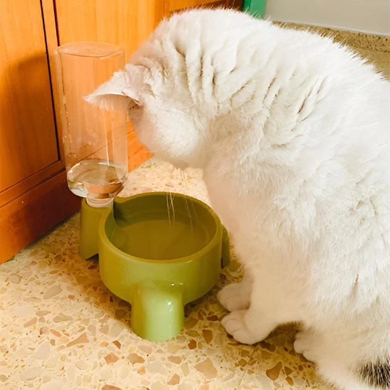 distributeur eau chat surélevé