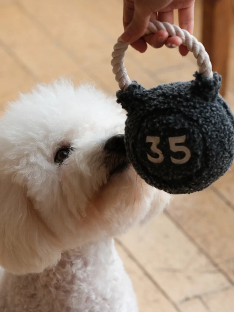 Jouet pour chien - Kettlebell 🏋️‍♀️ - Lambwolf Collective