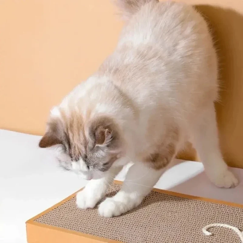 Griffoir chat forme souris - Ludique | PlayMouse
