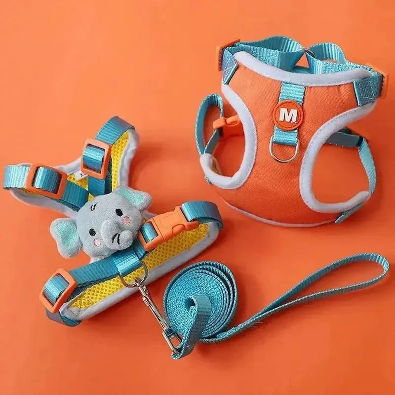 Harnais chaton 3 mois - Apprentissage facile | KittenGo