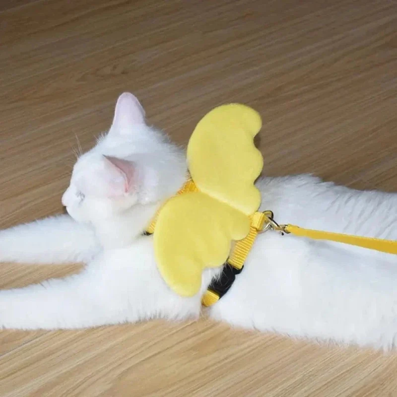 Harnais chat avec ailes - Style ange | AngelCat