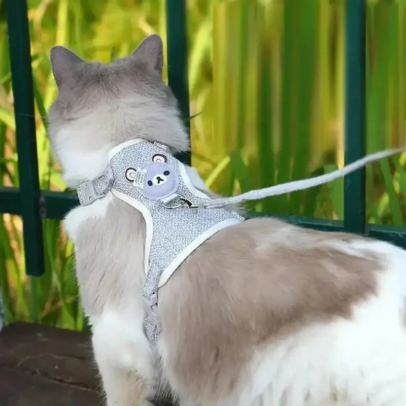 Harnais chaton - Promenades sécurisées | MiaouFlex