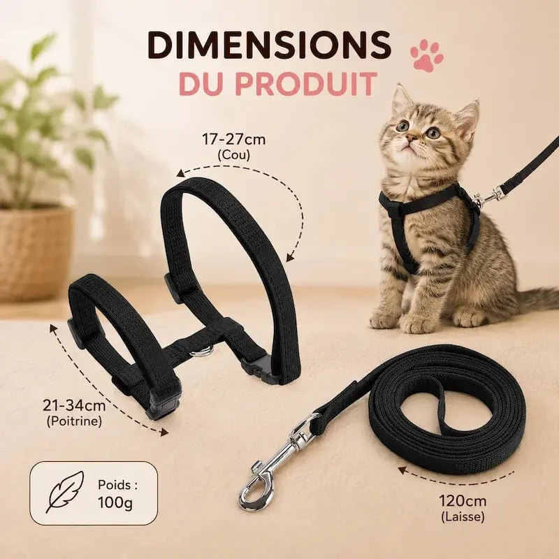 Harnais laisse chaton - Apprentissage sûr | FeliBaby