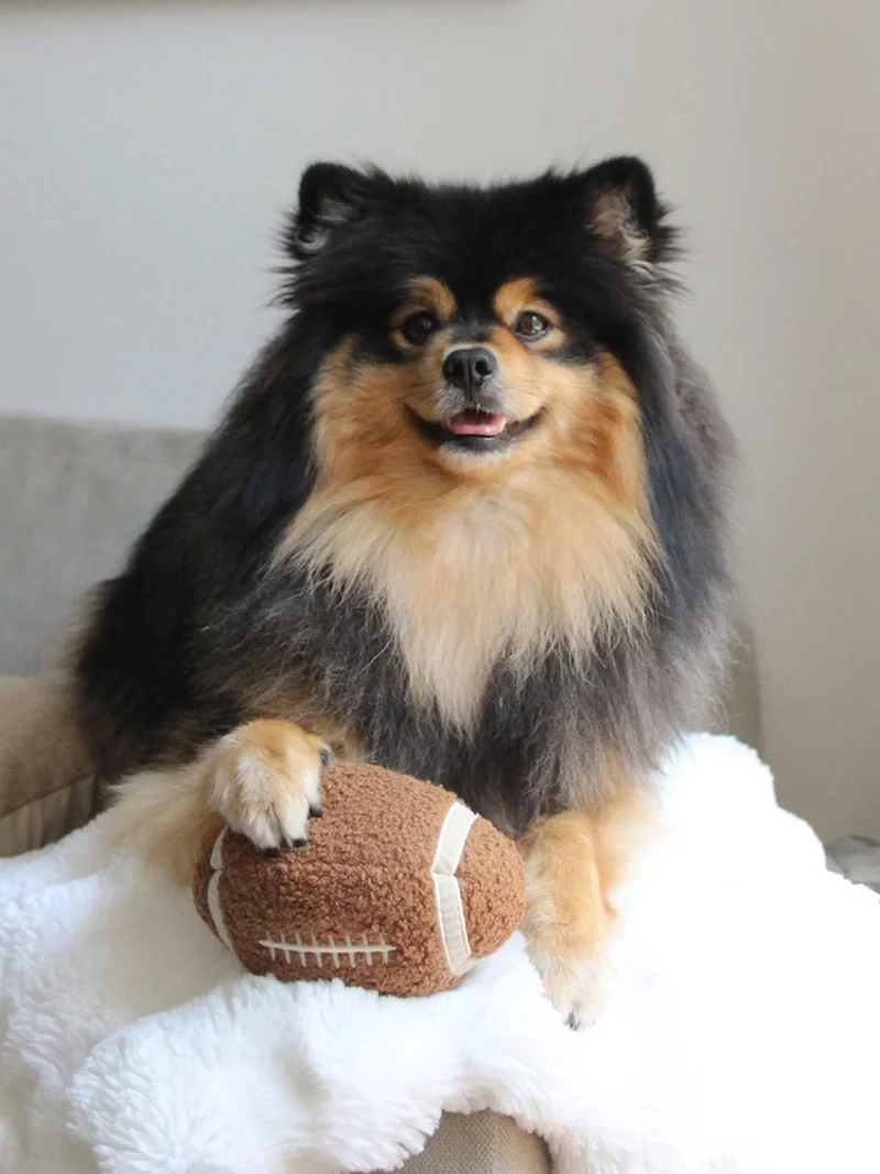 Jouet pour chien - Ballon Foot US 🏈 - Lambwolf Collective