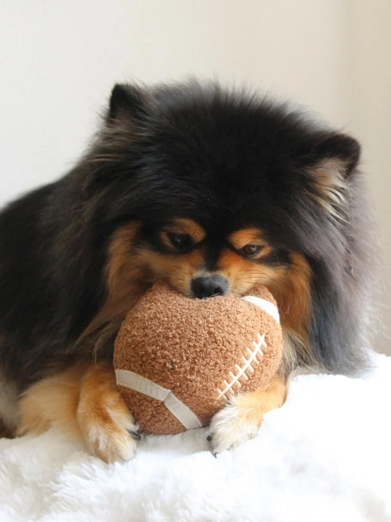 Jouet pour chien - Ballon Foot US 🏈 - Lambwolf Collective