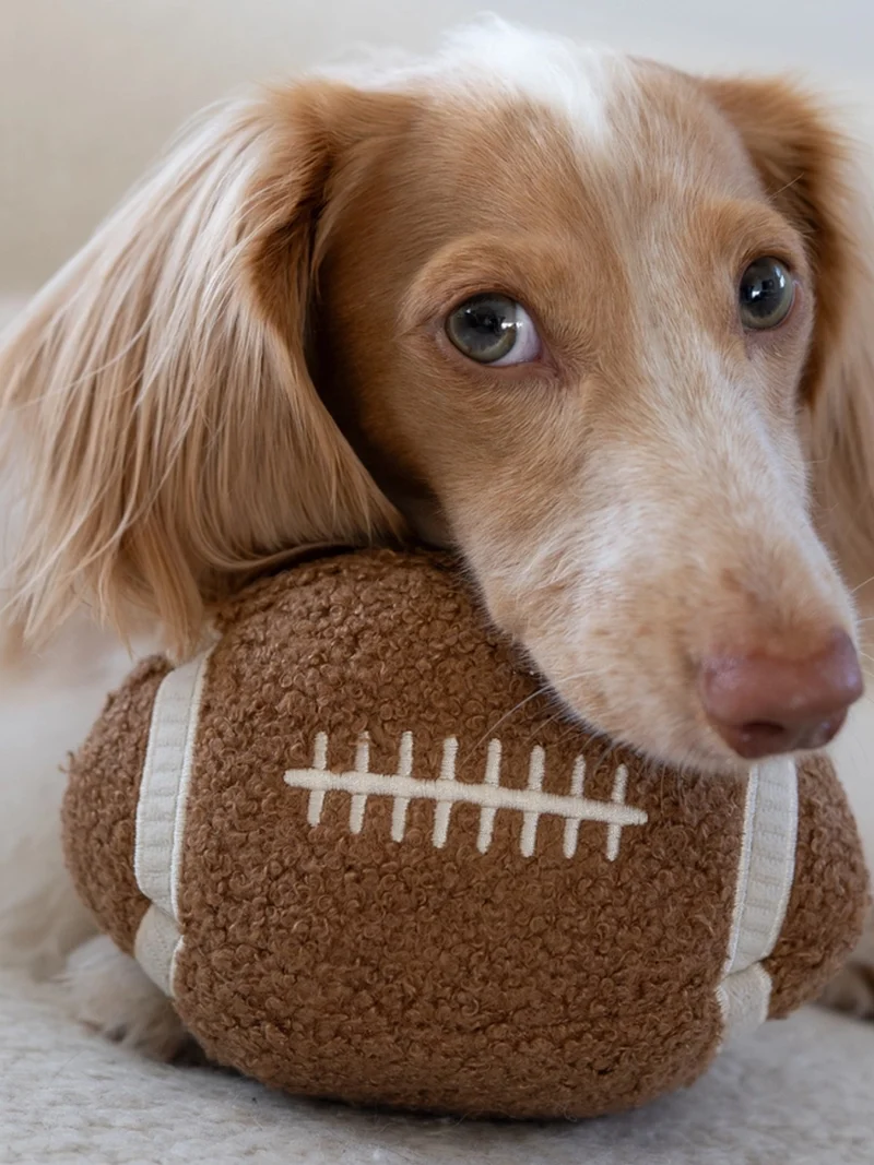 Jouet pour chien - Ballon Foot US 🏈 - Lambwolf Collective