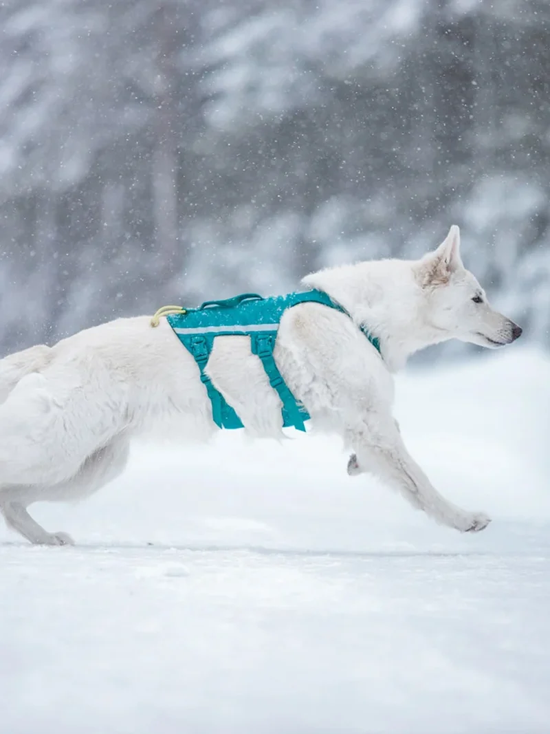 Harnais pour chien anti-fugue - Ramble Harness Long - Non-Stop Dogwear