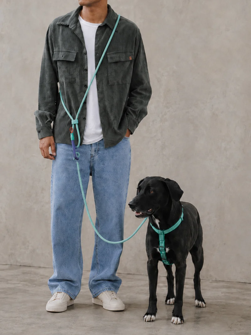 Laisse pour chien mains libres - Velvet Vibes Vert - Zee.Dog
