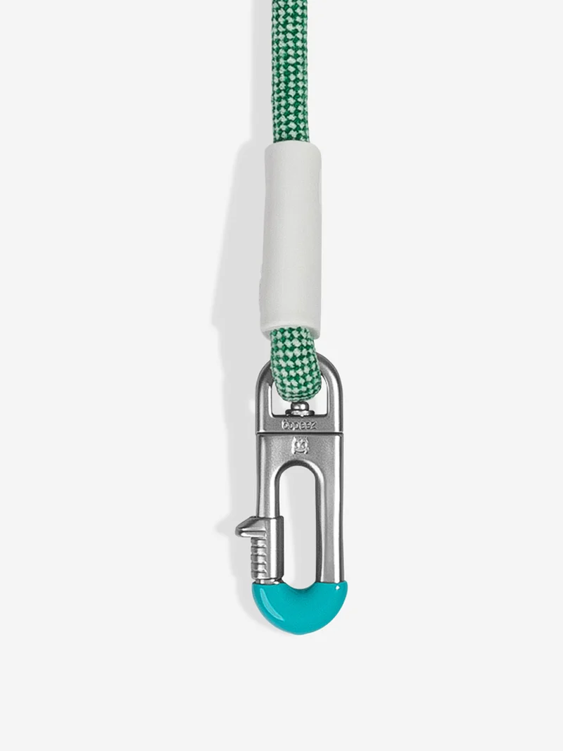 Laisse pour chien mains libres - Velvet Vibes Vert - Zee.Dog