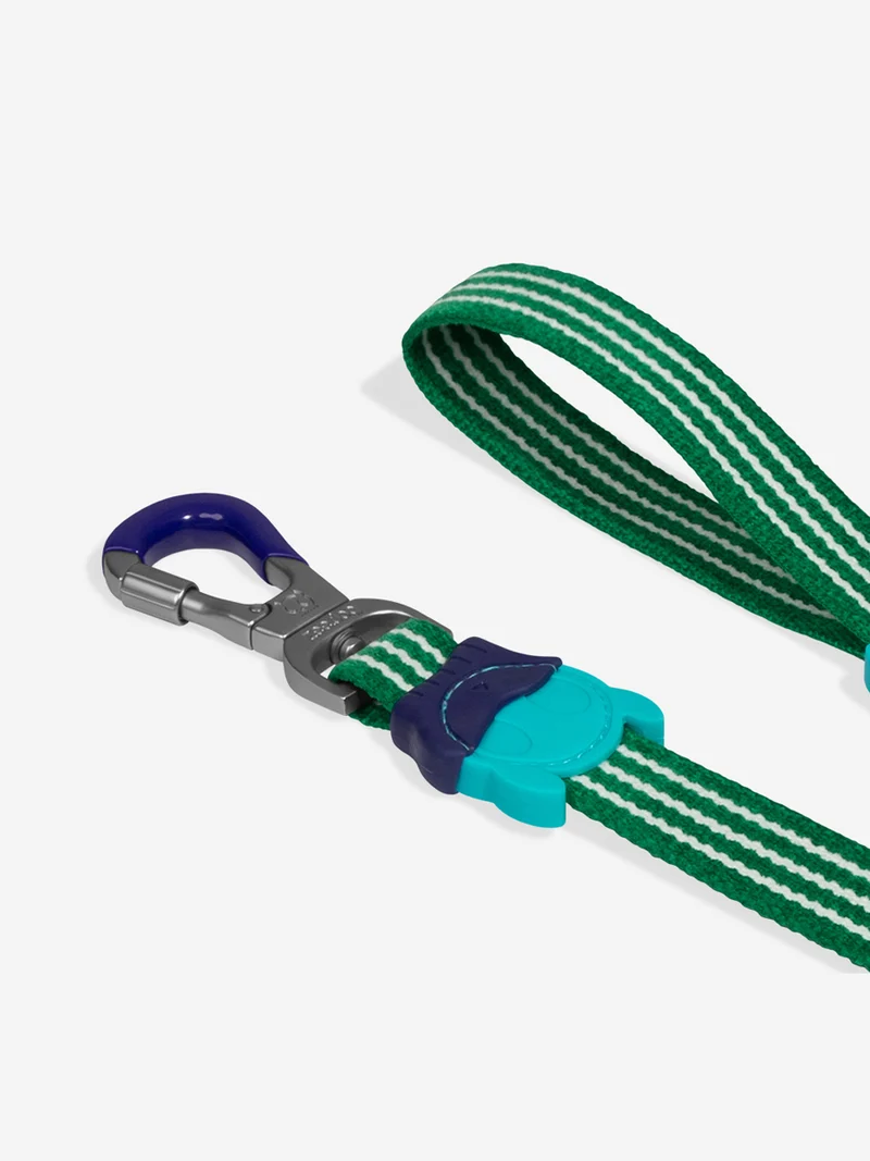 Laisse pour chien - Velvet Vibes Vert - Zee.Dog