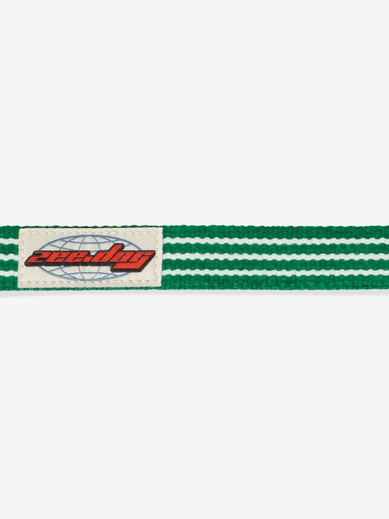 Collier pour chien - Velvet Vibes Vert - Zee.Dog