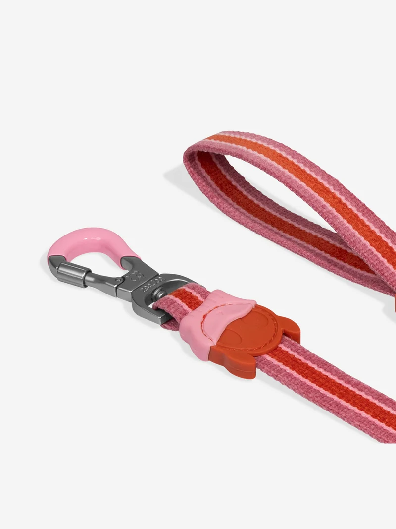 Laisse pour chien - Velvet Vibes Courtney - Zee.Dog
