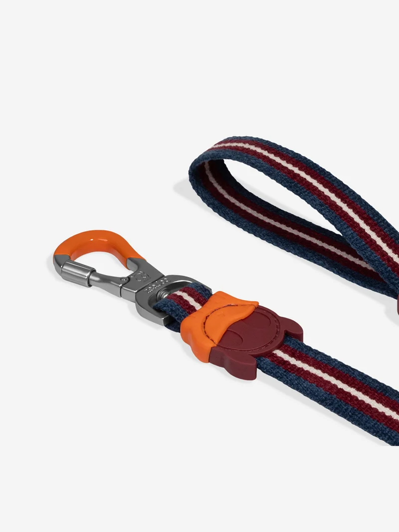 Laisse pour chien - Velvet Vibes Dropout - Zee.Dog