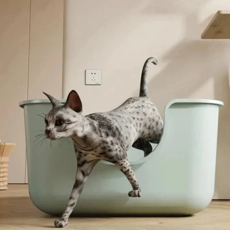 Litière XXL pour Maine Coon – Espace confortable | FéliXL