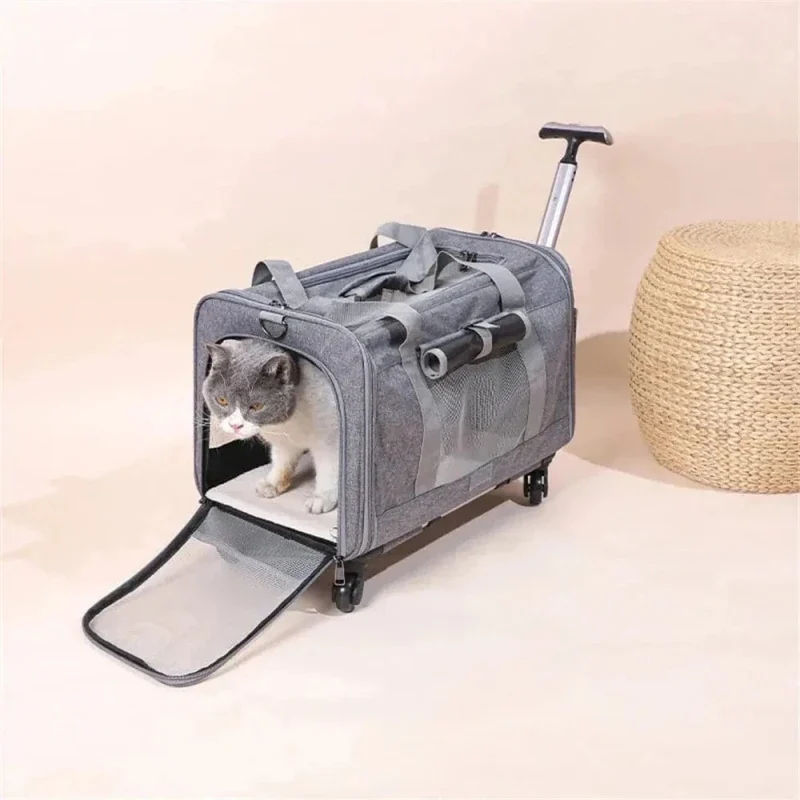 Sac de transport à roulettes pour chat - Zéro effort | RollCat