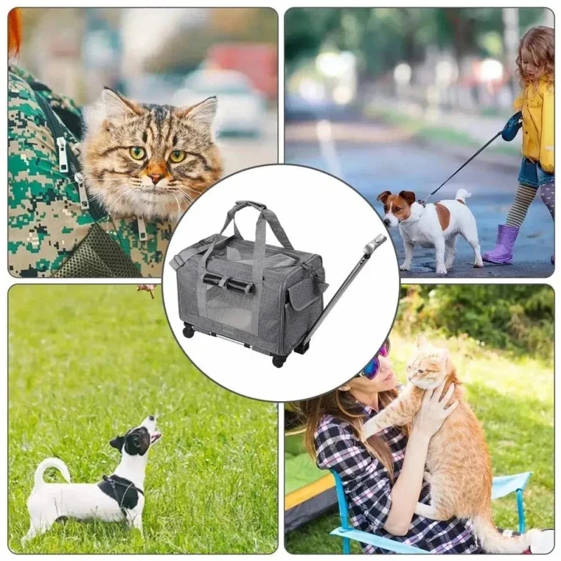 Sac de transport à roulettes pour chat - Zéro effort | RollCat