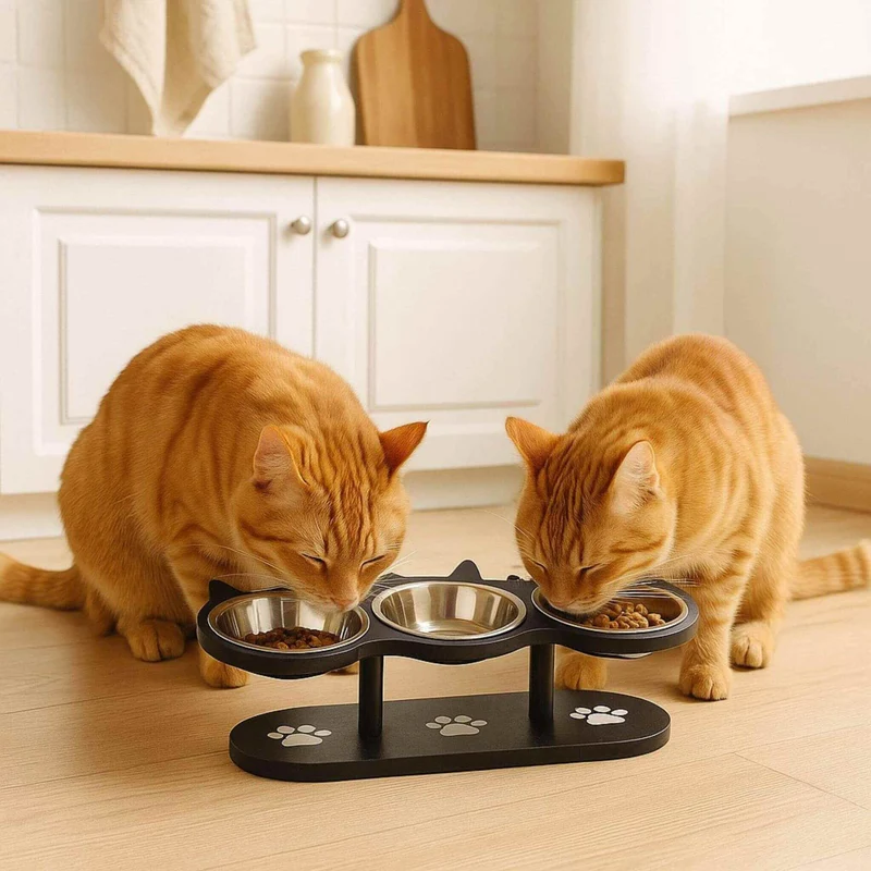 gamelle pour chat | Trio d’Oreilles