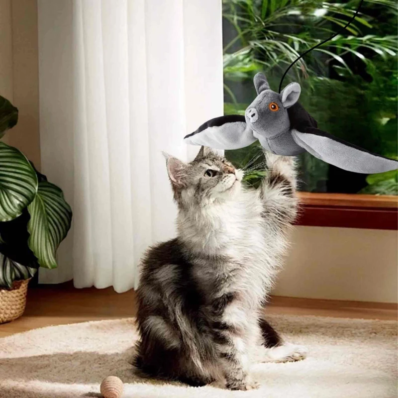 jouet oiseau pour chat | Chauve-Souris