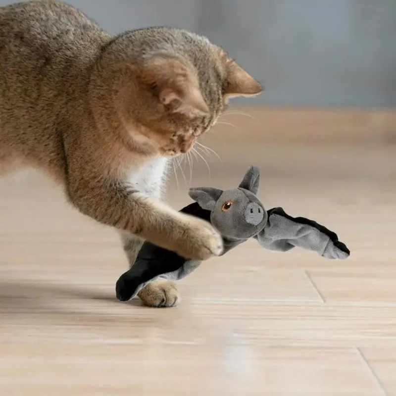 jouet oiseau pour chat | Chauve-Souris