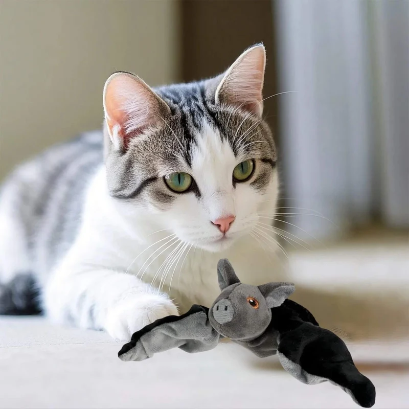 jouet oiseau pour chat | Chauve-Souris