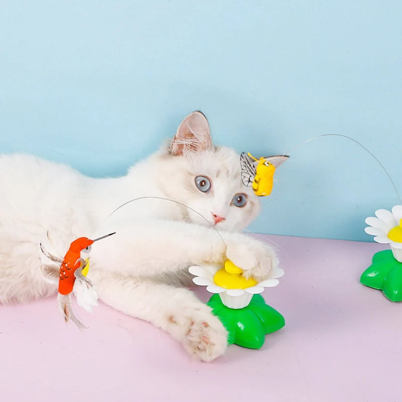 Jouet oiseau pour chat | Ballet d’Oiseau