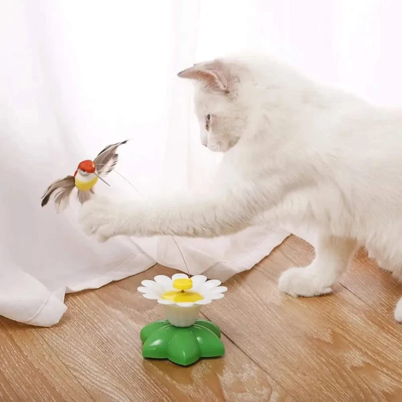 Jouet oiseau pour chat | Ballet d’Oiseau