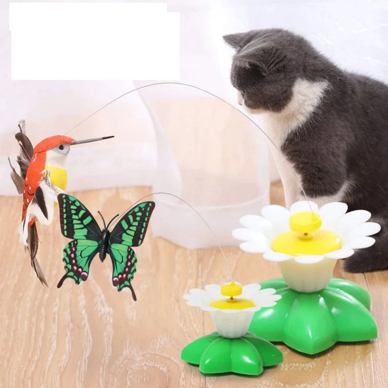 Jouet oiseau pour chat | Ballet d’Oiseau