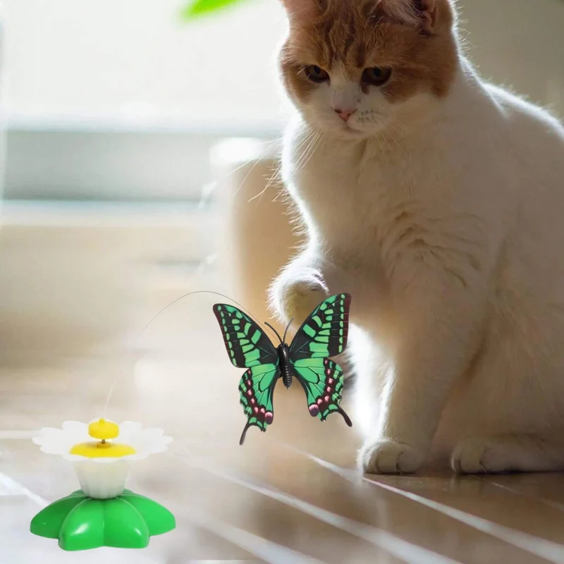 Jouet oiseau pour chat | Ballet d’Oiseau